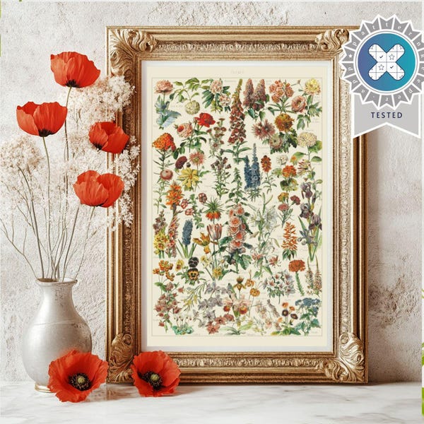 PDF "Vintage Flowers by Adolphe Millot" Cross Stitch Pattern DMC, Pattern Keeper Compatible, Instant Download