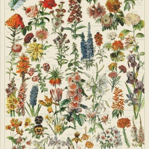 Puede incluir: Una lámina botánica sobre fondo crema que presenta un denso arreglo de diversas flores coloridas, incluyendo pétalos rojos, naranjas, amarillos, azules y morados con follaje verde. La palabra FLEURS está impresa en letras pequeñas en la parte superior central.