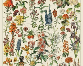 PDF "Vintage Flowers by Adolphe Millot" Cross Stitch Pattern DMC, Pattern Keeper Compatible, Instant Download