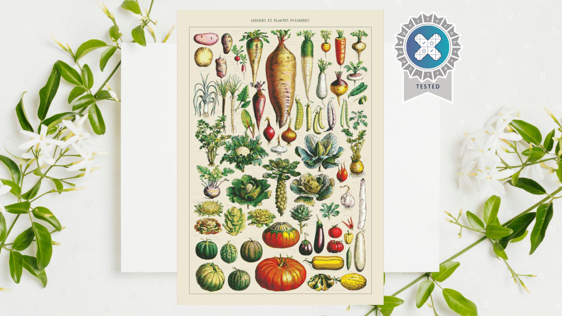 Acheter Affiche de cuisine rétro avec légumes et fruits, oignon, ail,  pêche, inspiré du Bauhaus, peinture sur toile imprimée botanique, décor  mural de salle à manger | Joom, image size:1920x1080