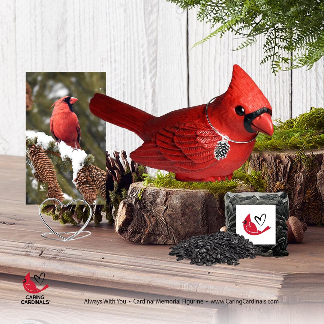 Large Cardinal Display Cardinal Memorial Figurine - CHRISTMAS IN HEAVEN: Cardinal Figurine ...