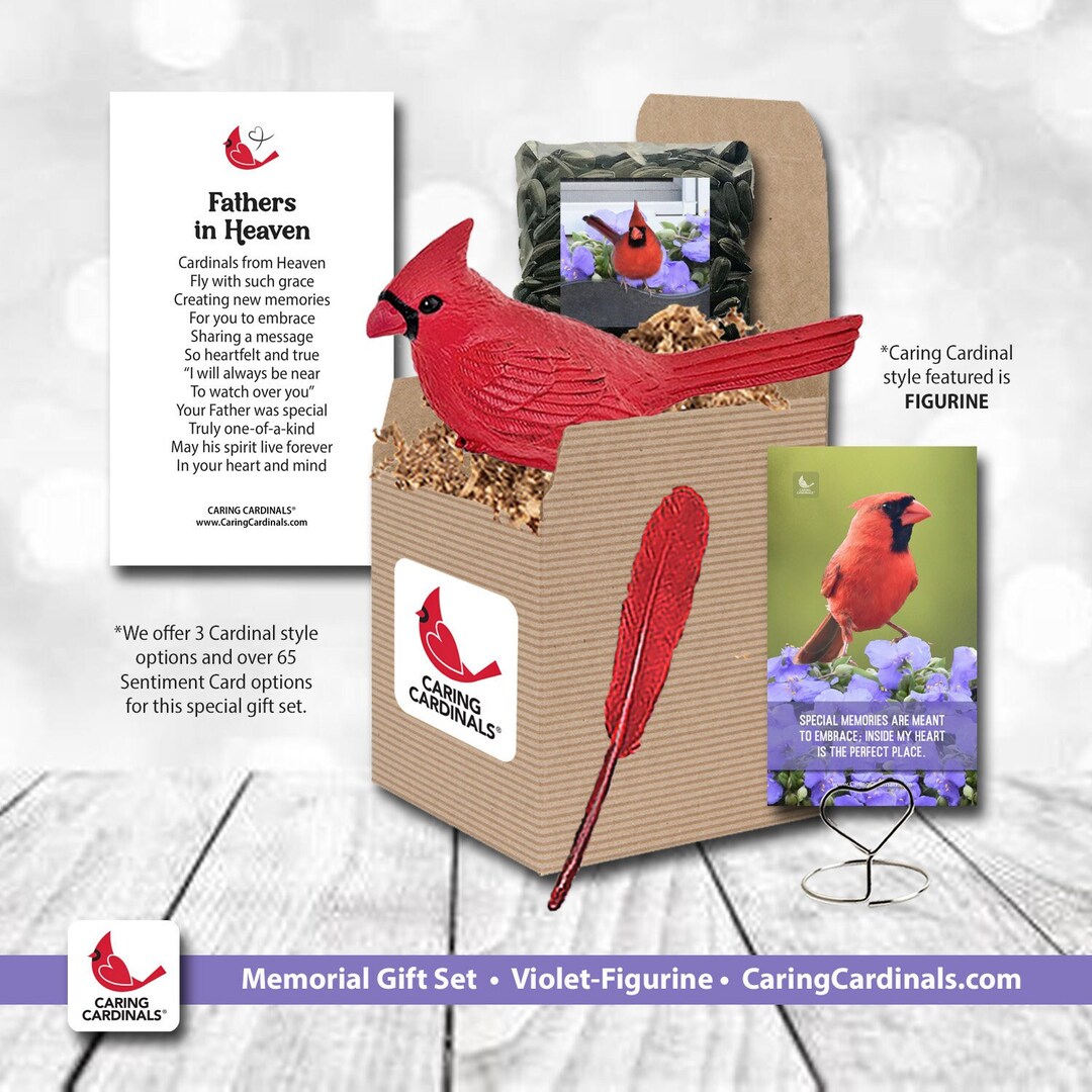 CARDINAL Memorial Gift Set Loss of Partnerfamilyfriend Etsy
