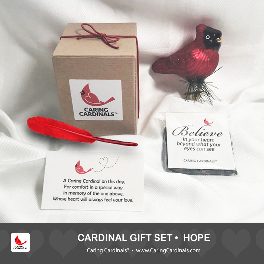 CARING CARDINALS Cardinal Gift Sets 4 Styles Cardinal Etsy