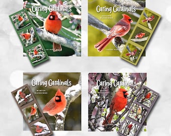 CARDINAL Book Set, 4 Books and Bookmark, Gift for Bird Lovers, Memorial Gift, Bereavement Gift, Sympathy Gift, Cardinal Gift, Bird Book Set