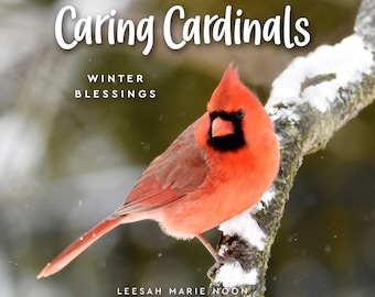 Wood Duck Photo Colorful Bird Fowl Original Fine Art Photography Print