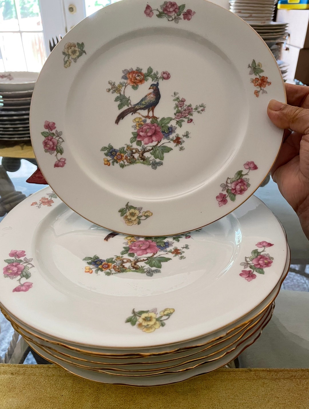 Czechoslovakia Epiag Vintage Set of 2 Dinner Plates Peacock in Blossom Bush 1920 Etsy