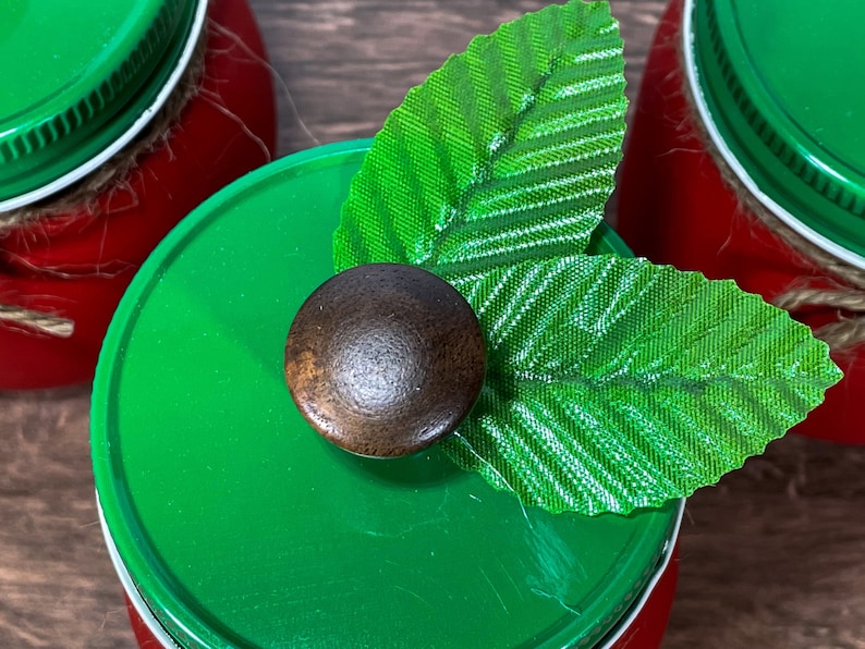 K&ouml;nnte beinhalten: Ein gr&uuml;ner Einmachglasdeckel mit einem braunen Knopf und zwei gr&uuml;nen Bl&auml;ttern darauf. Der Einmachglasdeckel befindet sich auf einem roten Einmachglas.