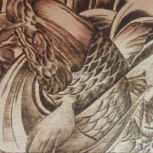 Koi Carp
