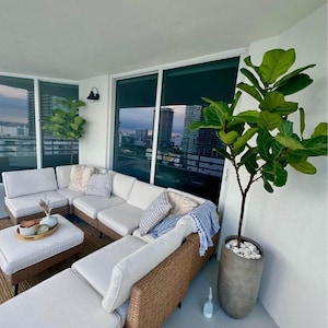 May include: An outdoor living space featuring a sectional sofa with white cushions and wicker sides. A coffee table with a tray and decorative items sits on a woven rug. A large potted plant with green leaves adds a natural element to the space.