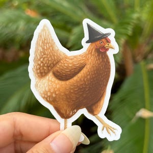 Witchy Chicken Sticker / Halloween Chicken Sticker / Cute Chicken Sticker / Cottagecore sticker / Witchcore Sticker / Cute Sticker