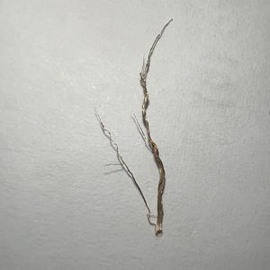 May include: Close-up of a thin, twisted, gold-colored wire with a few strands of silver wire extending from it.