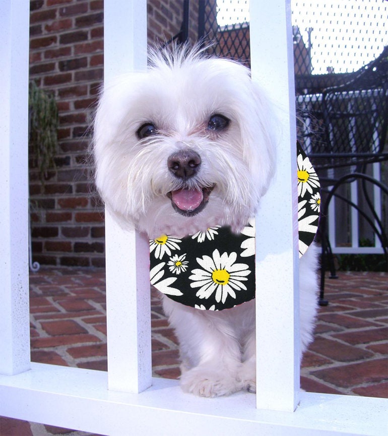 Diy bumper collar sales