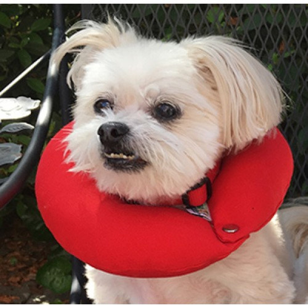 Puppy Bumpers Reflective Glow Pup Bumper Keep Your Dog On The Sa