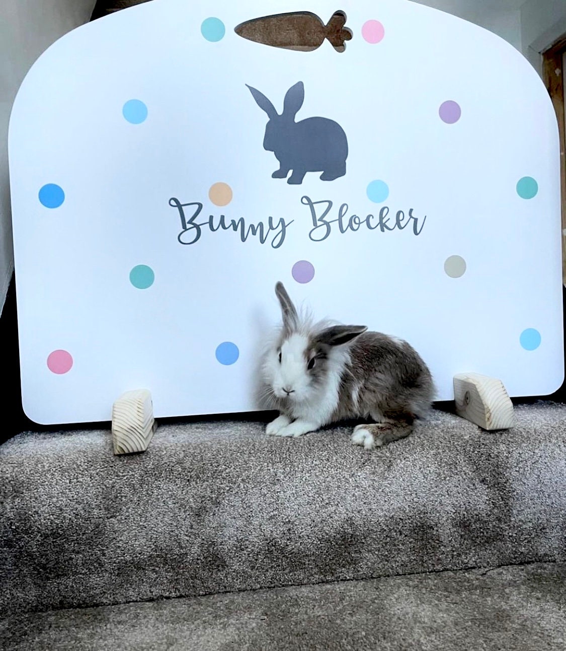 Pet gate for shop rabbits