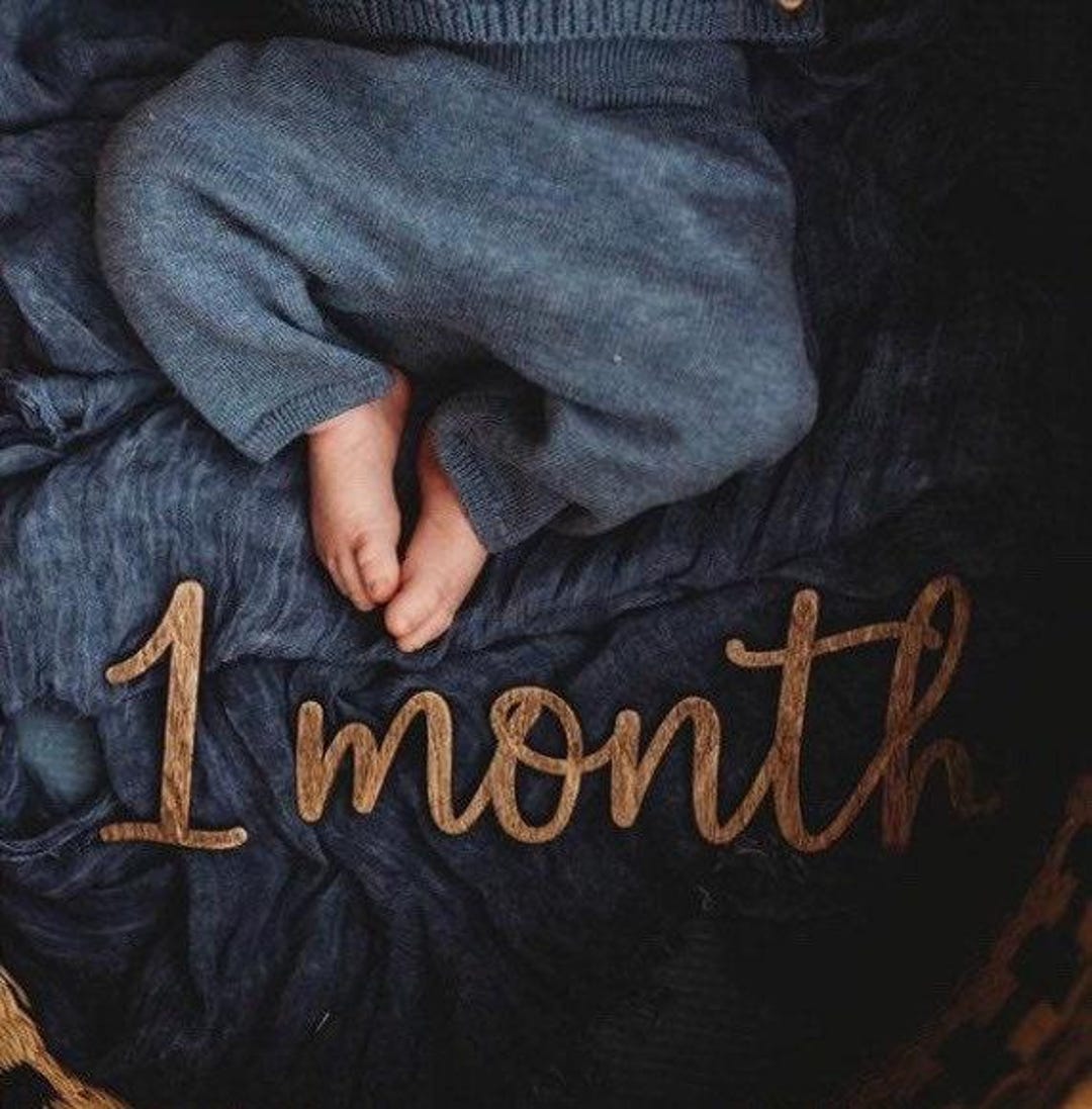 Monthly Milestone Prop | Photo Prop | Wood Photo Prop | Baby Milestone ...