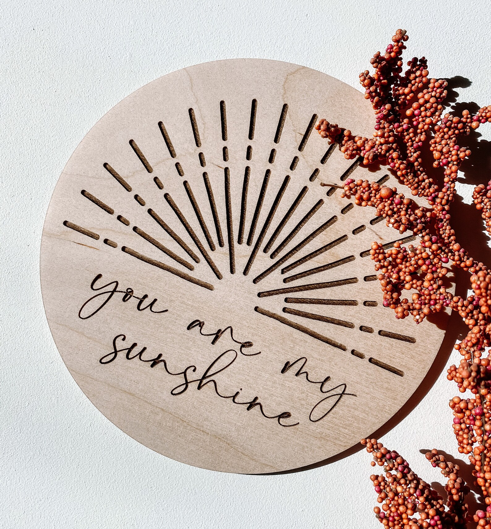 You Are My Sunshine Wooden Disc Photo Prop Nursery Decor Etsy
