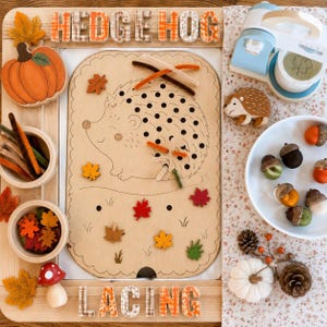 Hedgehog Sensory Bin Insert for IKEA Trofast | Montessori Fall Activity | Pipe Cleaner Fine Motor Toy | Autumn Sensory Table Insert