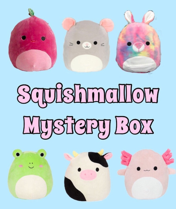 Squishmallow Mystery Box Plush Gift Surprise Stuffed Animal Etsy