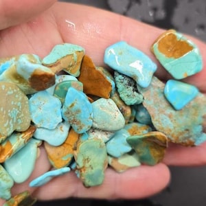 Cripple Creek Turquoise Rough Lot (250 CT): Natural Colorado Gemstones for Jewelry making