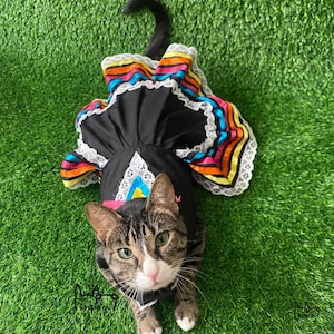 SMALL PETS, Folklorico Dress for pets, Handmade Mexican Style, 5 de Mayo, Escaramuza dress, Pet Costume, Party Dress, Cinco de Mayo dress