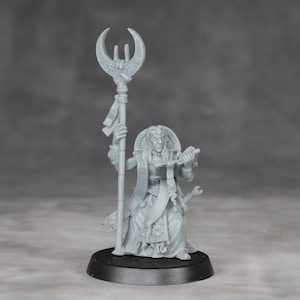 Può includere: Una statuetta in miniatura di plastica grigia di una strega che tiene uno scettro con una mezzaluna in cima e un libro. La strega indossa una lunga tunica con dettagli intricati e un copricapo.