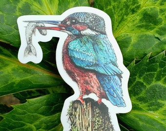 Kingfisher Bird with Fish Decal Bumper Sticker Hand-Drawn Art