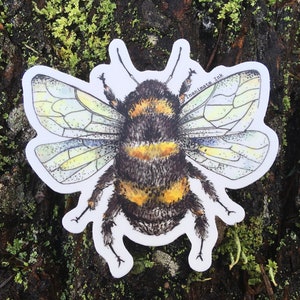 Handgezeichnete Hummel | Bienen | Honigbiene | Save The Bees | Insekt Vinyl Sticker