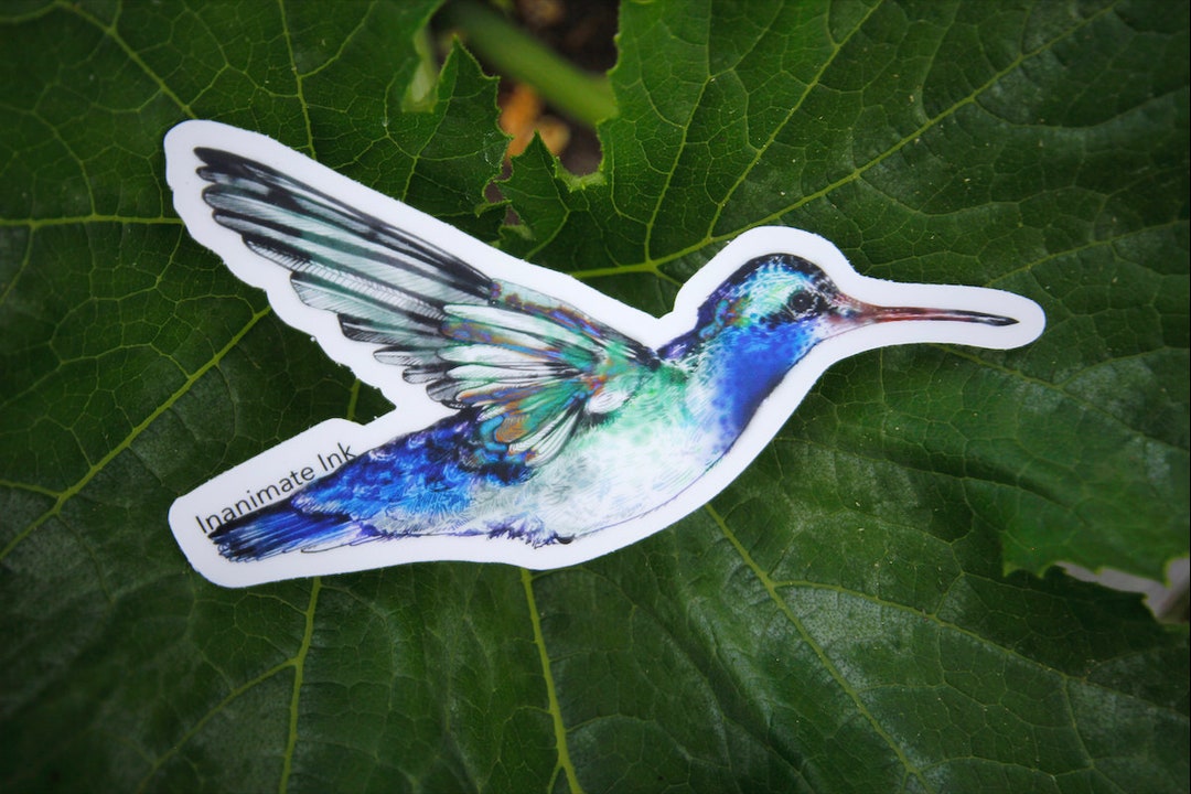 Hummingbird Vinyl Stickers - Etsy