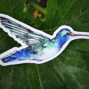 Hummingbird Vinyl Stickers