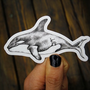 Orca Whale Sticker Decal