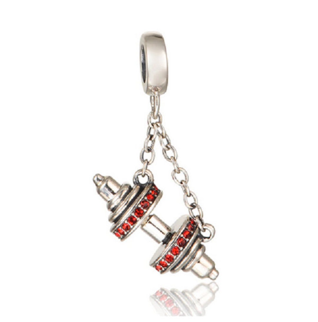 Handlebar Weights Bodybuilding Gym Fitness Bead for Snake Etsy