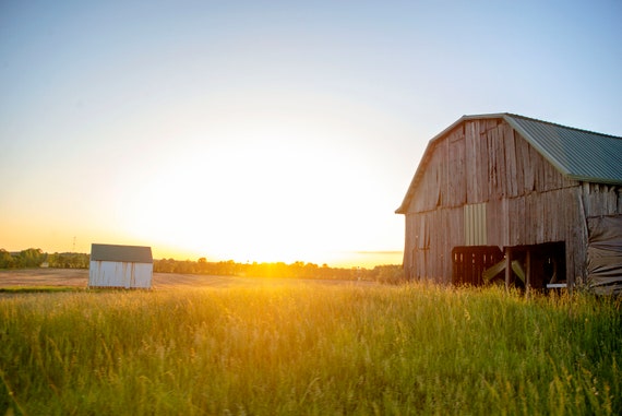 Barn Wall Art Rustic Decor Two Kentucky Barns Etsy