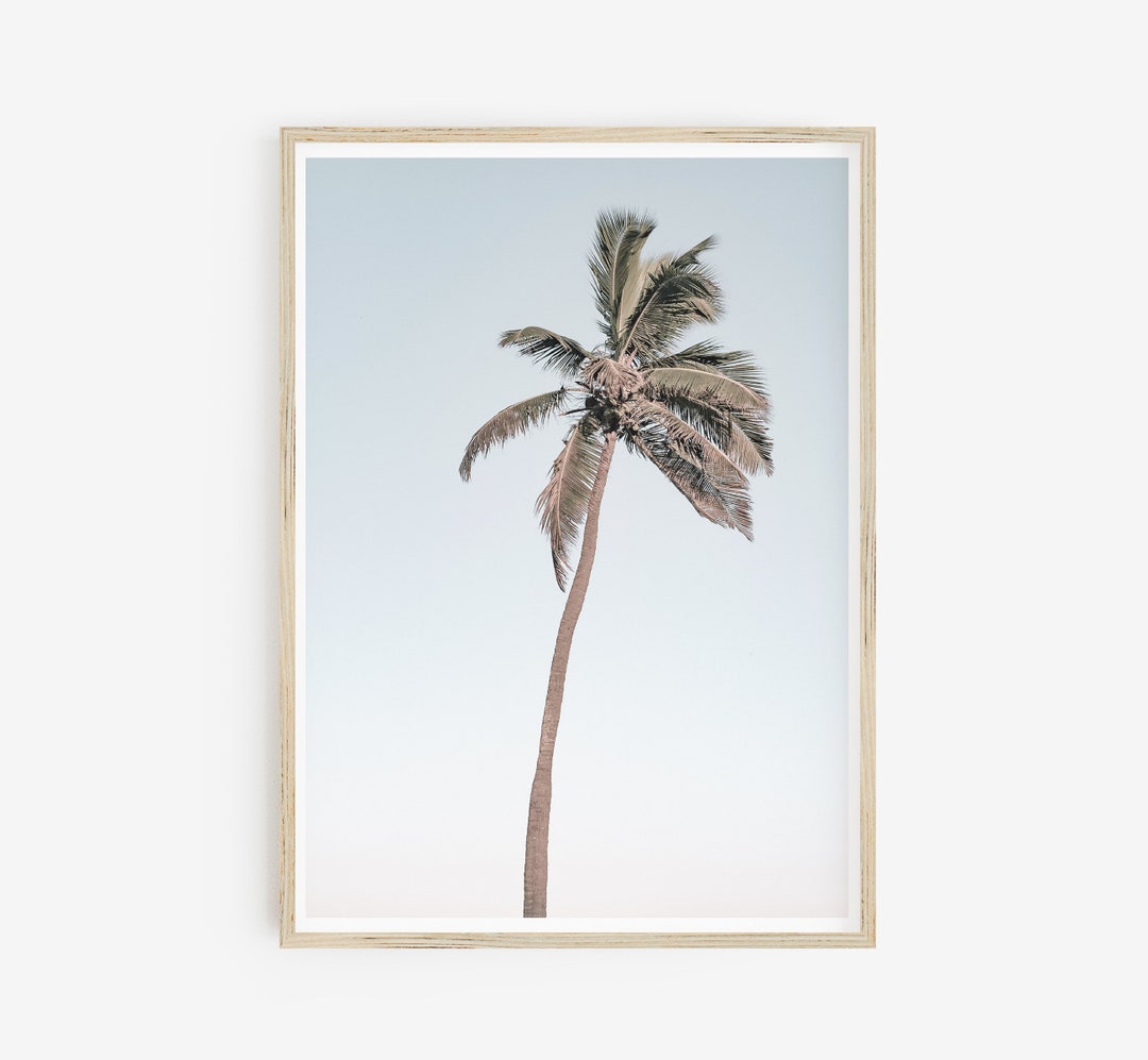 Palm Tree Clear Sky Art Printable Beach Coastal Poster Fruit - Etsy
