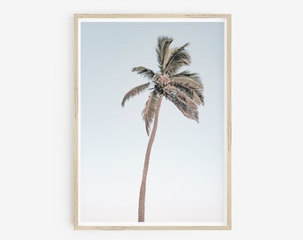 May include: A single palm tree with green leaves against a light blue sky. The palm tree is tall and slender, with the leaves blowing in the wind.