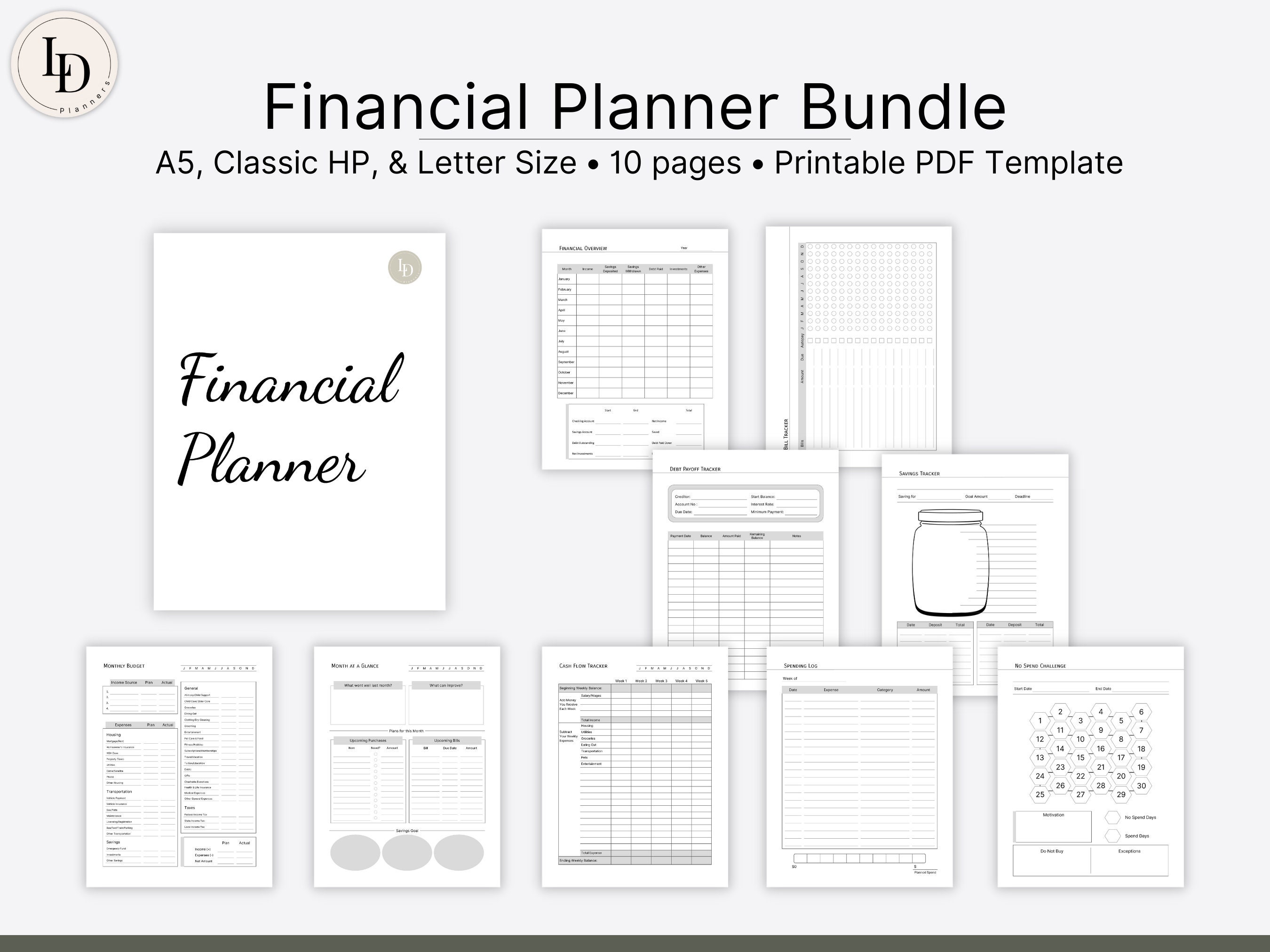 Financial Planner Basics Printable PDF Template Digital - Etsy