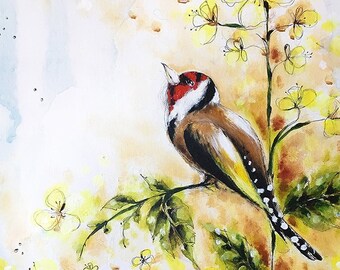 European goldfinch  5" x 7" art print