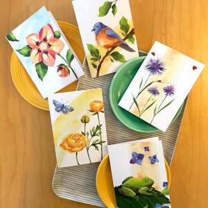 TARJETAS DE FELICITACIÓN » Juego de 5 » Jardín de primavera