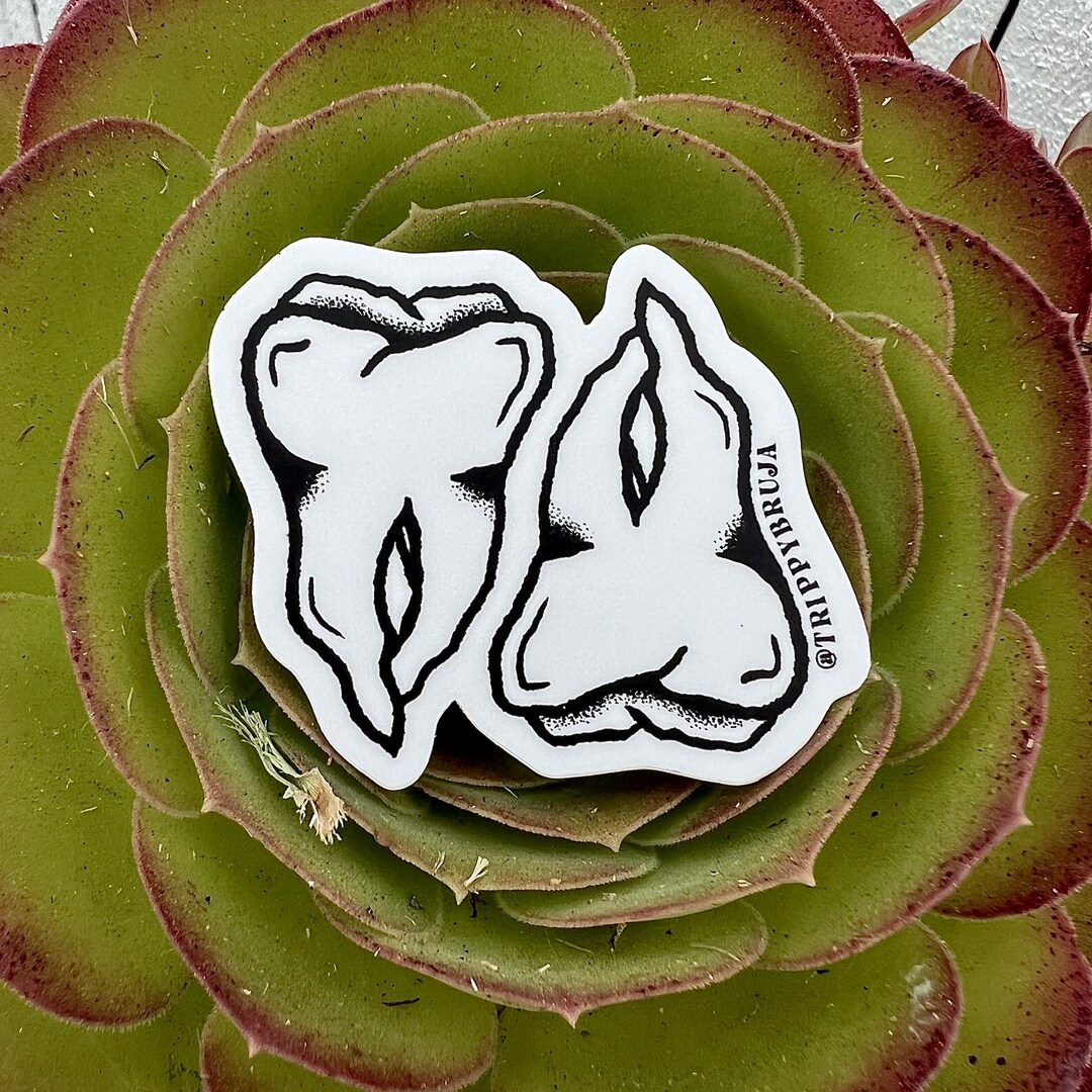 Natural Tooth Sticker Teeth Sticker - Etsy