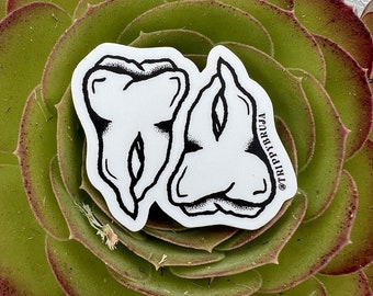 Teeth Sticker