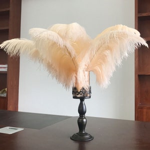 Vintage champagne Ostrich Feather 24-26 Inch/5-100PCS Home Decor Romantic wedding feather