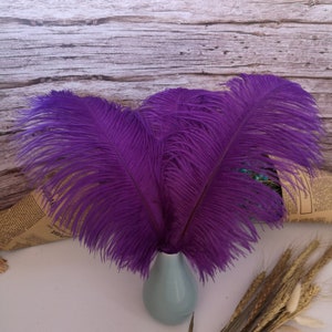 Purple Ostrich Feather 100pcs 6-30Inch/15-75CM Home Decor Wedding Arrangement High Quality Handmade Feathers