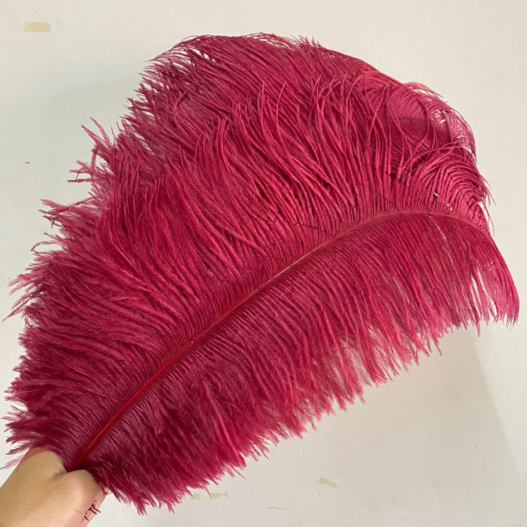 10Pcs Natural Hot Pink Ostrich Feathers 15-75cm Wedding Party