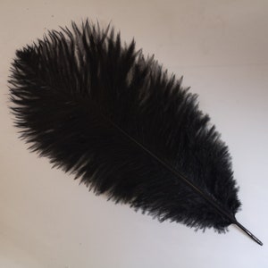 High Quality Black Ostrich Feather 10 Pcs 6-30inch/15-75cm - Etsy