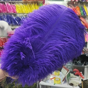  10 plumas de avestruz de colores para manualidades, boda,  fiesta, artesanía, accesorios de mesa, centros de mesa, decoración de plumas  de carnaval : Arte y Manualidades