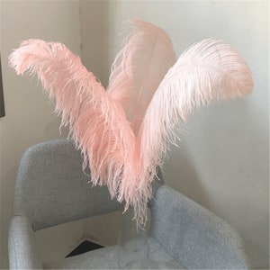 HXZX Pink Ostrich Feather,15-70cm/6-28inch Nature Ostrich Feathers for Vase  Table Centerpieces,Party Wedding Accessories Decoration Ostrich Feathers