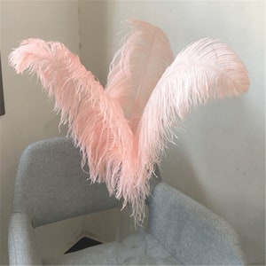 Retro light pink Ostrich Feather 24-26 Inch/5-100PCS Home Decor Romantic wedding feather