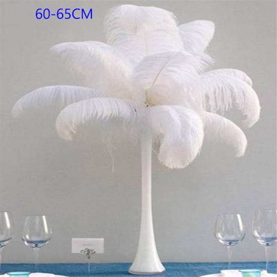 Sowder 50 piume di struzzo naturale da 20 a 25 cm per decorazione di interni e matrimoni