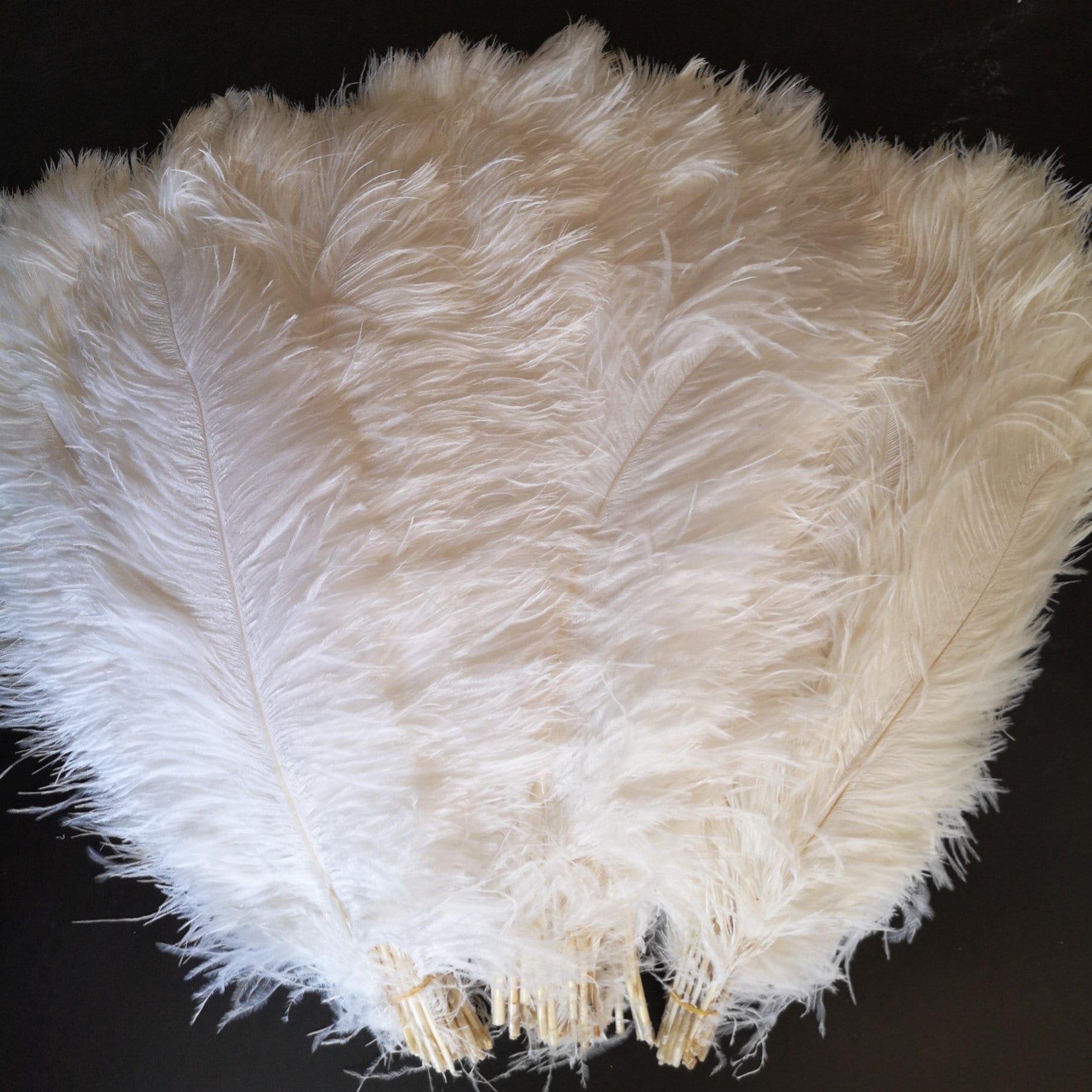 Natural Ostrich Wing Plumes - per 5 feathers