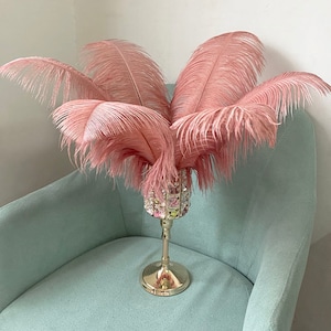 AAA+ 100pcs High quality 20-22 inches Bean Paste  ostrich feather wedding decoration diy vase arrangement dress making handmade feather