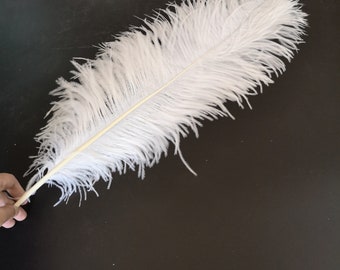 10-1000pcs High quality 18-20 inches white ostrich feather wedding decoration diy vase   arrangement dress making handmade feather